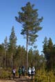 FinnFoto_278750